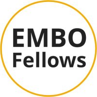 EMBO Fellows (@embofellows) 's Twitter Profile Photo EMBO Fellows (@embofellows) 's Twitter Profile Photo