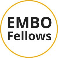 EMBO Fellows(@EMBOFellows) 's Twitter Profile Photo