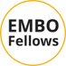 EMBO Fellows (@EMBOFellows) Twitter profile photo