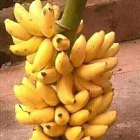 @apora_asiyepora (@apora_asiyepora) 's Twitter Profile Photo @apora_asiyepora (@apora_asiyepora) 's Twitter Profile Photo