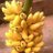apora_asiyepora's profile image