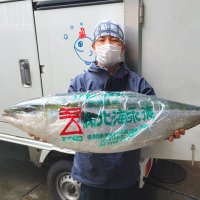 さかなや魚晴(uosei)一平です!!(息子) 名古屋市北区水草団地(@nagoyasakanaya) 's Twitter Profile Photo