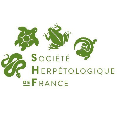 La SHF promeut la protection des Reptiles et Amphibiens, l'amélioration et la transmission des connaissances 🐸🐢🐍🦎 
Pour adhérer➡️ https://t.co/gRfCaczAGu