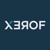 XEROF(@xerof_financial) 's Twitter Profile Photo