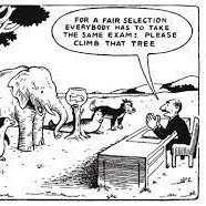 IdentityTalent's profile picture. Freedom and democracy are a privilege worth fighting for. Interested in ideas for building a stronger/smarter/better society. Could Belgium work?