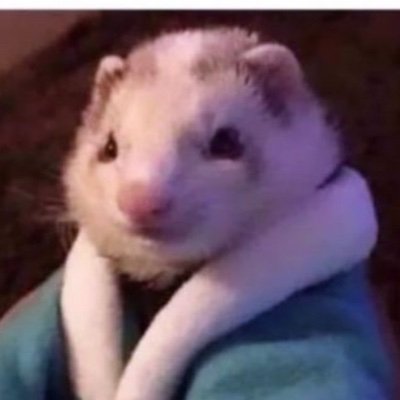 medtelmewtf's profile picture. Sober, somehow. Serene, mostly.

Thoughts shared are my own & do not reflect that of my employer.