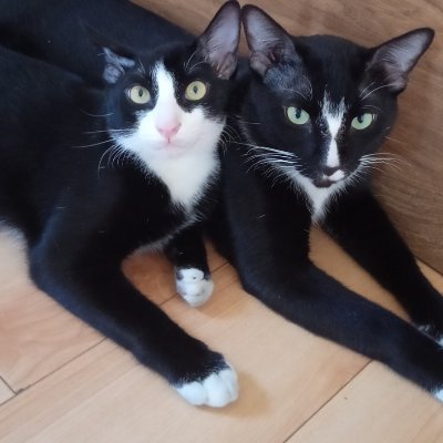 7kmru's profile picture. V