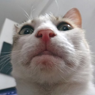 mohsha63275801's profile picture. Haye!