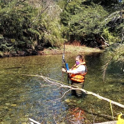 Profesora Asociada Facultad de Ingeniería. Ingeniero Civil, Dra. Ciencias Ambientales, UdeC