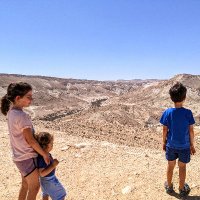Aviram Sh (@shahal123av) 's Twitter Profile
