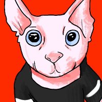 Walter (@quirksuper) 's Twitter Profile