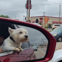 Doc Jim (@docjim123) 's Twitter Profile