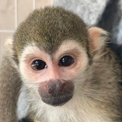 tomoさんのプロフィール画像