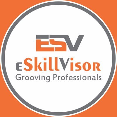 eCommerce by eSkillVisor is Pakistan’s pioneer SkillTech startup with sole focus on eSkill development and digital world. LEARN TO EARN