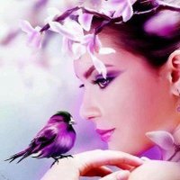 A&S (@uharjl72ahmed) 's Twitter Profile
