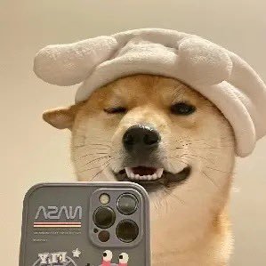 qookid8888's profile picture. 