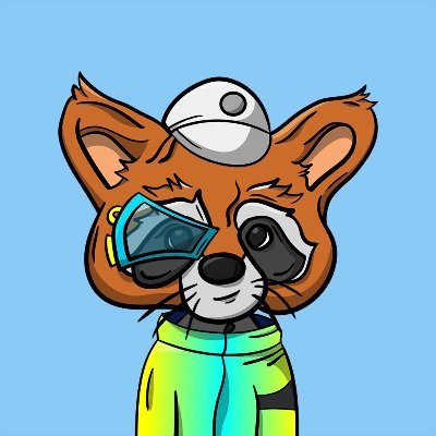 shyraccoonさんのプロフィール画像