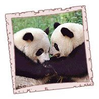 GaStateAOII's profile picture. Gamma Sigma Chapter of Alpha Omicron Pi at Georgia State University. Follow us to hear updates and receive information about what is going on with our chapter!