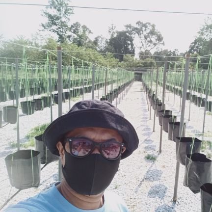 Azizifarmers's profile picture. #keluargapeladang