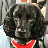 Mr Tigger (@mrtigger876) 's Twitter Profile