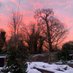 MeophamWeather (@meopham_weather) Twitter profile photo MeophamWeather (@meopham_weather) Twitter profile photo