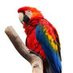 dmarijan3 (@dmarijan31) Twitter profile photo dmarijan3 (@dmarijan31) Twitter profile photo