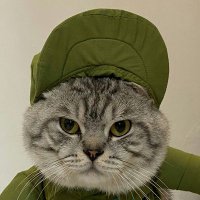 cancerian (@ottokeeeh) 's Twitter Profile