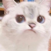 Lissee (@ppicpe) 's Twitter Profile