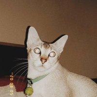 anchorx (@anchorxx_) 's Twitter Profile