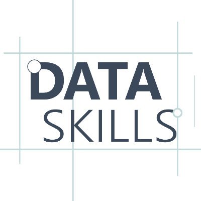 DataSkillTweets Profile Picture