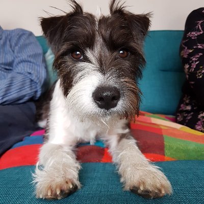 AnnBolt73224331's profile picture. Wife, mother of 3 grown up children. Irish living in Wales.
 Love reading. Never without a book on the go. #GTTO #NHS #StandWithUkraine 
 No DMs thanks.