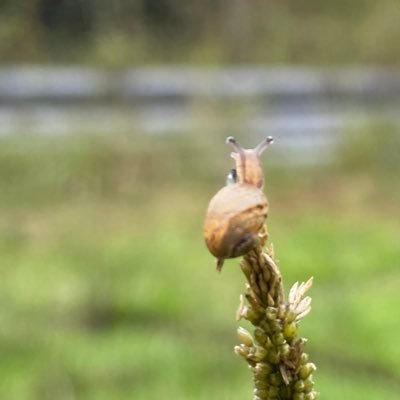 smartindd's profile picture. 