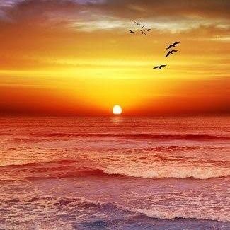 aziz_saraan's profile picture. Ex D@SET_HG