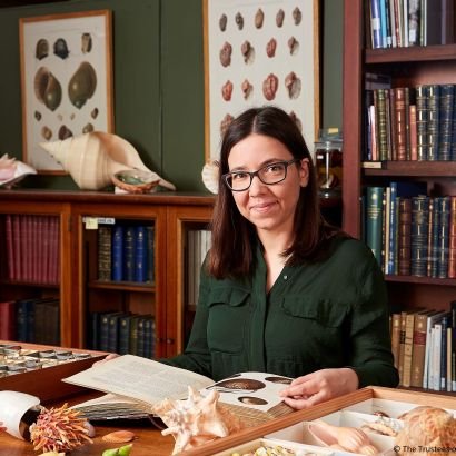 Senior Curator of Marine Molluscs at the @NHM_London.
Author #InterestingShells and US version #FascinatingShells @UChicagoPress

(All images © NHM)