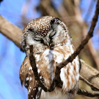 gusmsft's profile picture. 