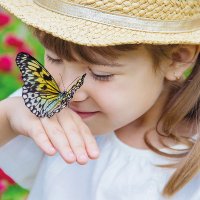 Assises Nationales de la Biodiversité (@assises_biodiv) 's Twitter Profile