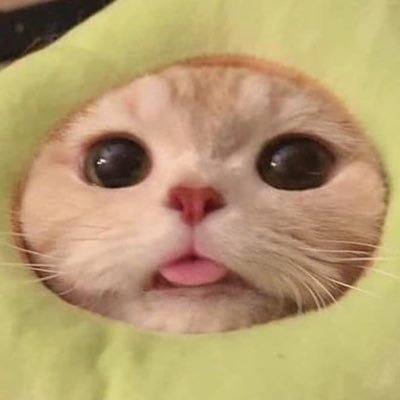 or_3enz's profile picture. 