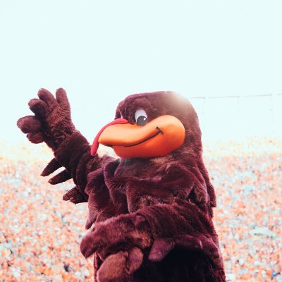 What's a #Hokie? We are! Student takeover account for @virginia_tech. Requests: https://t.co/IqoqWmOVLD