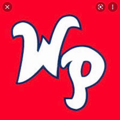 OFFICIAL ACCOUNT FOR THE 2021 PARK PIT!! come here for updates on themes and games!