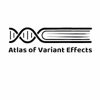 Atlas of Variant Effects Alliance(@varianteffects) 's Twitter Profile Photo