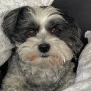 Vincent Leroy - @Vincent78400361 - Twitter