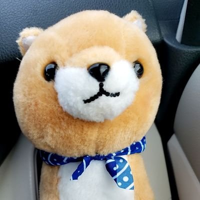 もちさんのプロフィール画像