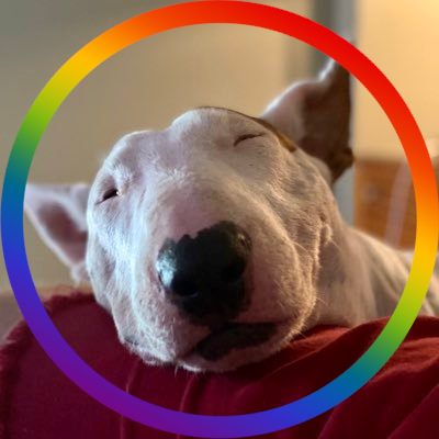 Arlo and Pete’s forever dad🌈🐾. I speak bull terrier💙 #adoptdontshop #rescue, it’s what we do… 🧵@Cosmothebullie