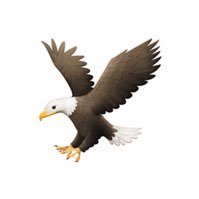 Crestone Eagle (@crestoneeagle) 's Twitter Profile