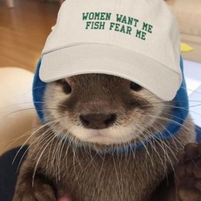 mirofrompara's profile picture. indigilatine, queer, nonbinary, they/them, 29 ☀️