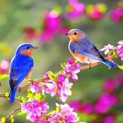 أعوذ بالله من الشيطان الرجيم
يستبشرون بالذين لم يلحقوا بهم من خلفهم