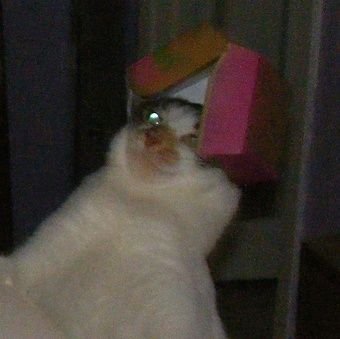 ArtiMETALIQ's profile picture. 