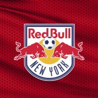RBNY SF49er (@luisfloresny) 's Twitter Profile