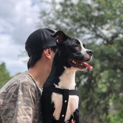 jjosezamoraa's profile picture. 