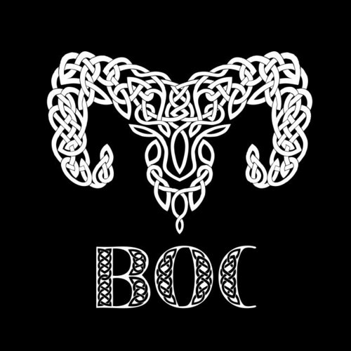 BOCoficial's profile picture. Folk desde Mallorca - Folk band from Mallorca